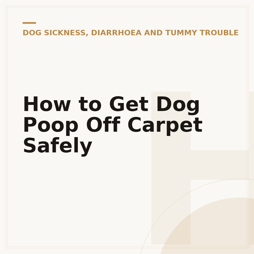 How to Get Dog Poop Off Carpet Safely