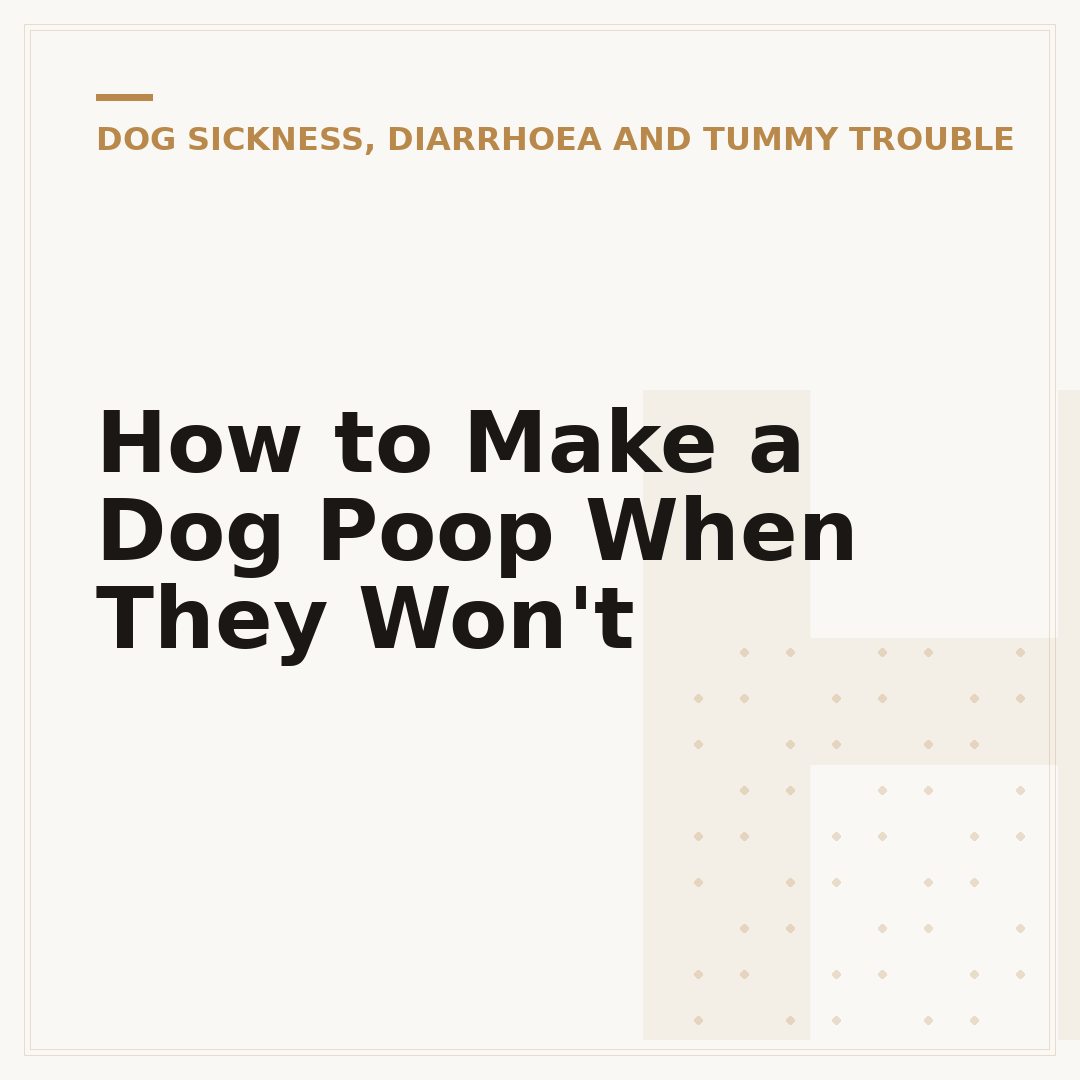 How to Make a Dog Poop When They Won't