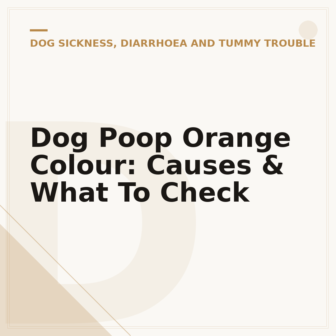 Dog Poop Orange Colour: Causes & What To Check