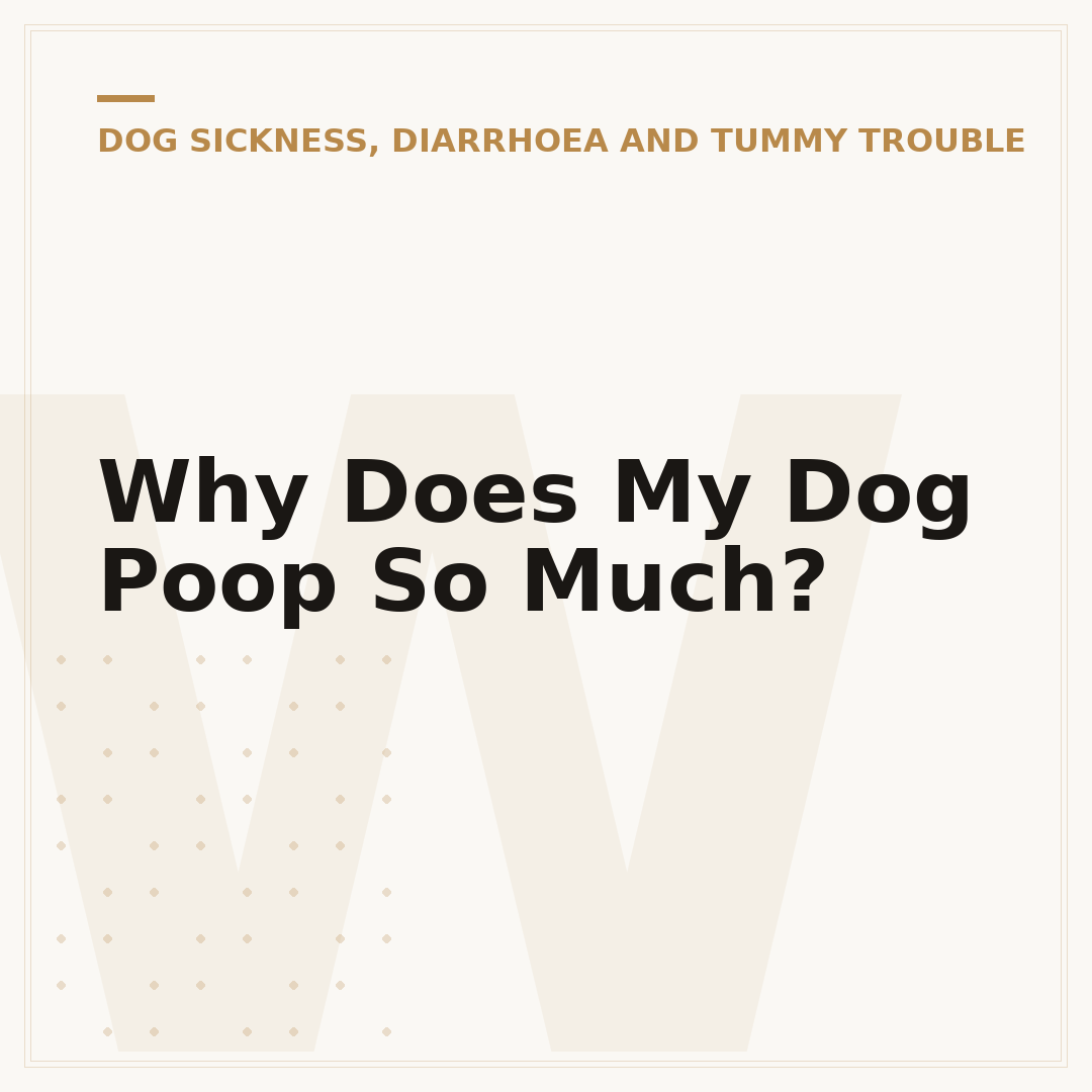 Why Does My Dog Poop So Much?
