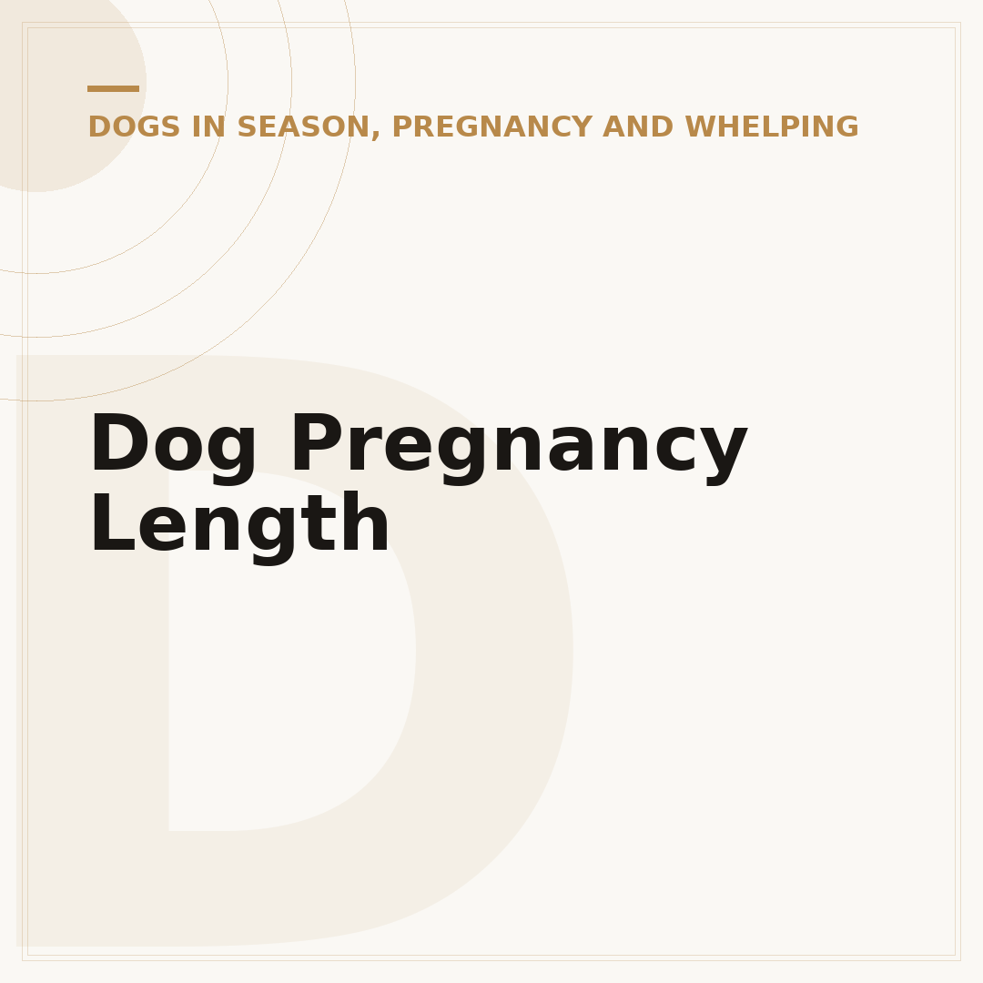 Dog Pregnancy Length