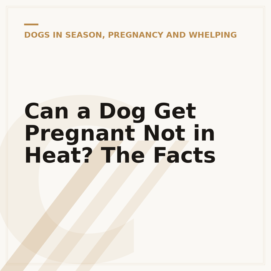 Can a Dog Get Pregnant Not in Heat? The Facts