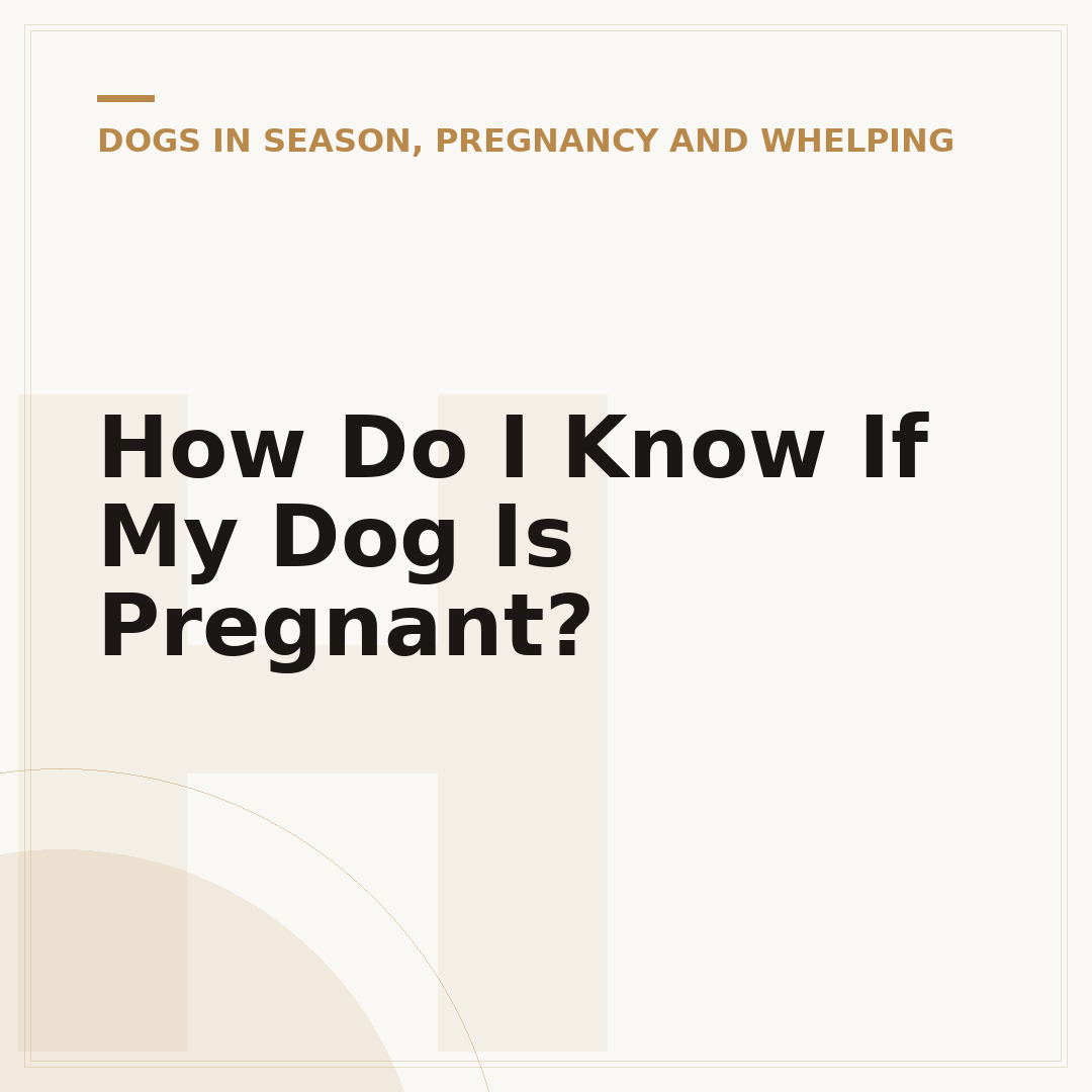 How Do I Know If My Dog Is Pregnant?