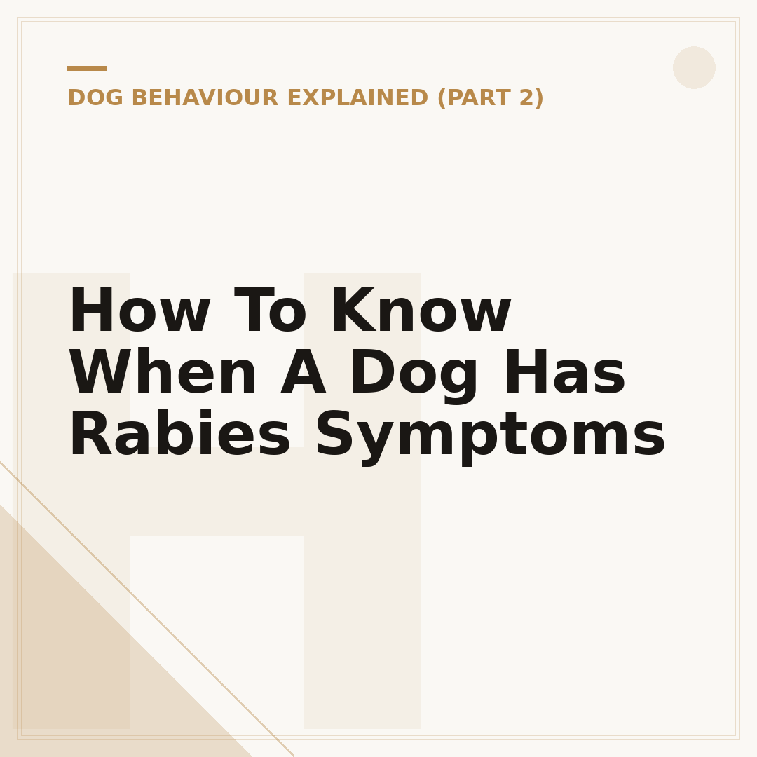 How To Know When A Dog Has Rabies Symptoms