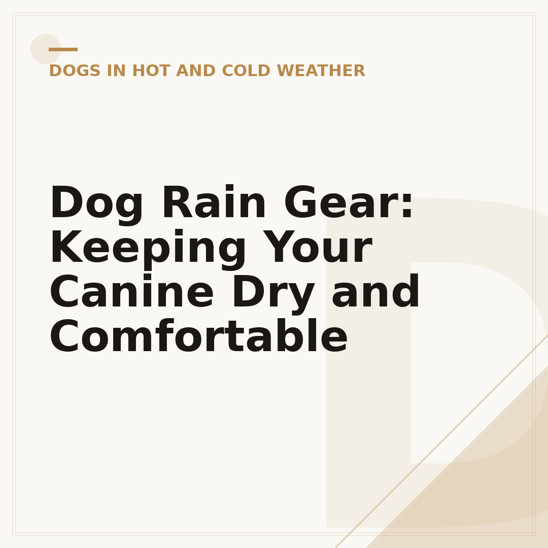 Dog Rain Gear: Keeping Your Canine Dry and Comfortable