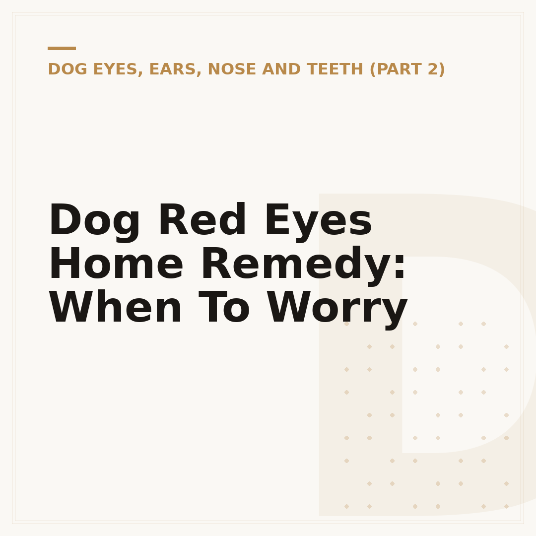 Dog Red Eyes Home Remedy: When To Worry