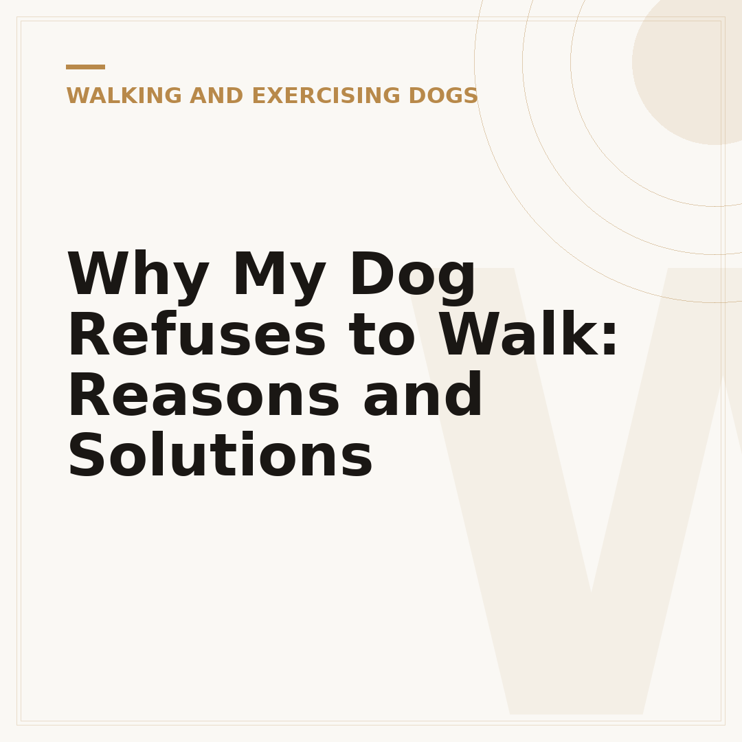 Why My Dog Refuses to Walk: Reasons and Solutions