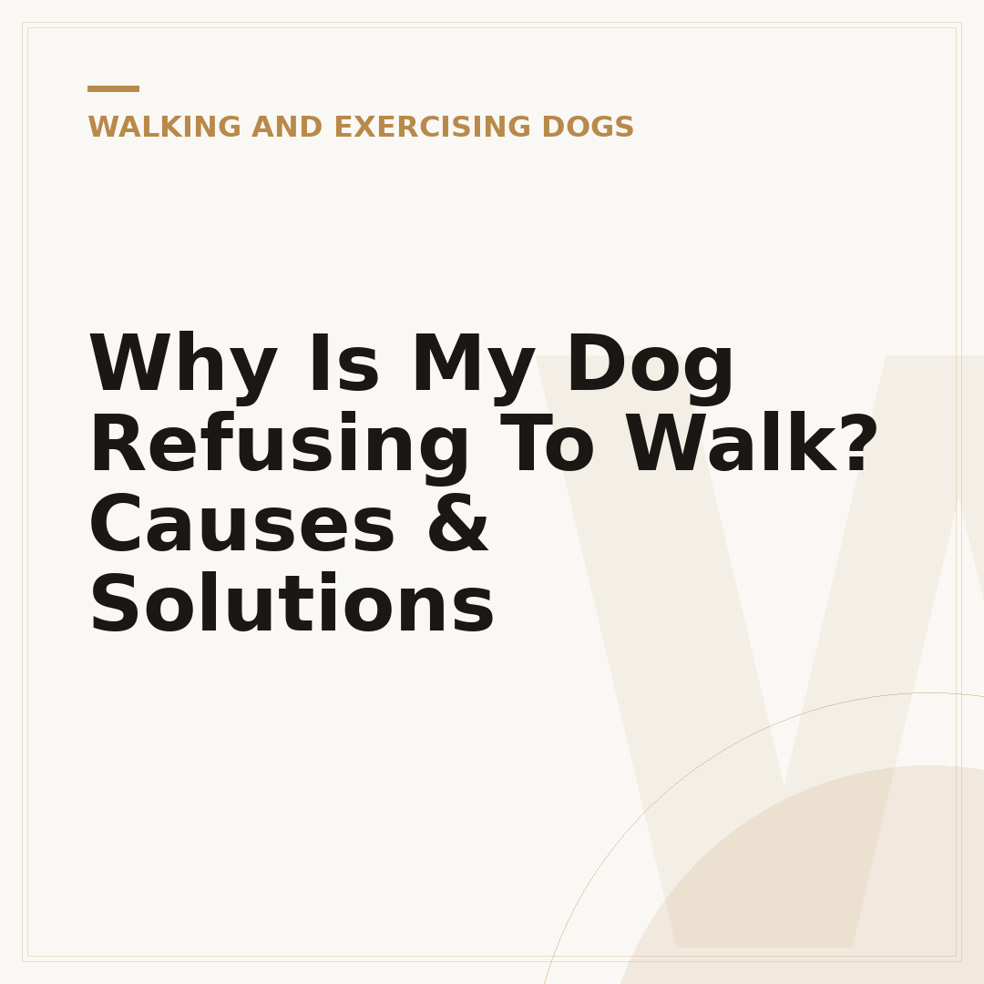Why Is My Dog Refusing To Walk? Causes & Solutions
