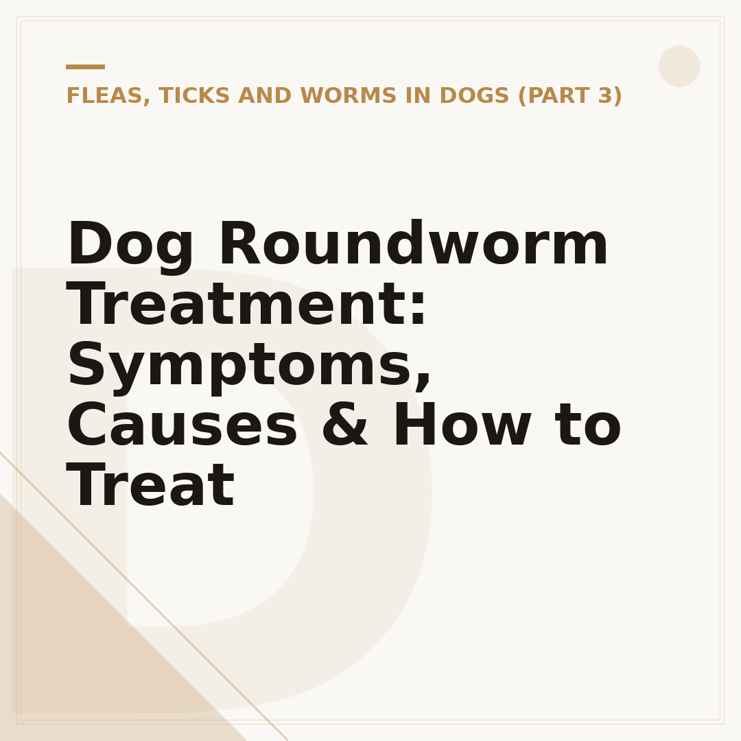 Dog Roundworm Treatment: Symptoms, Causes & How to Treat