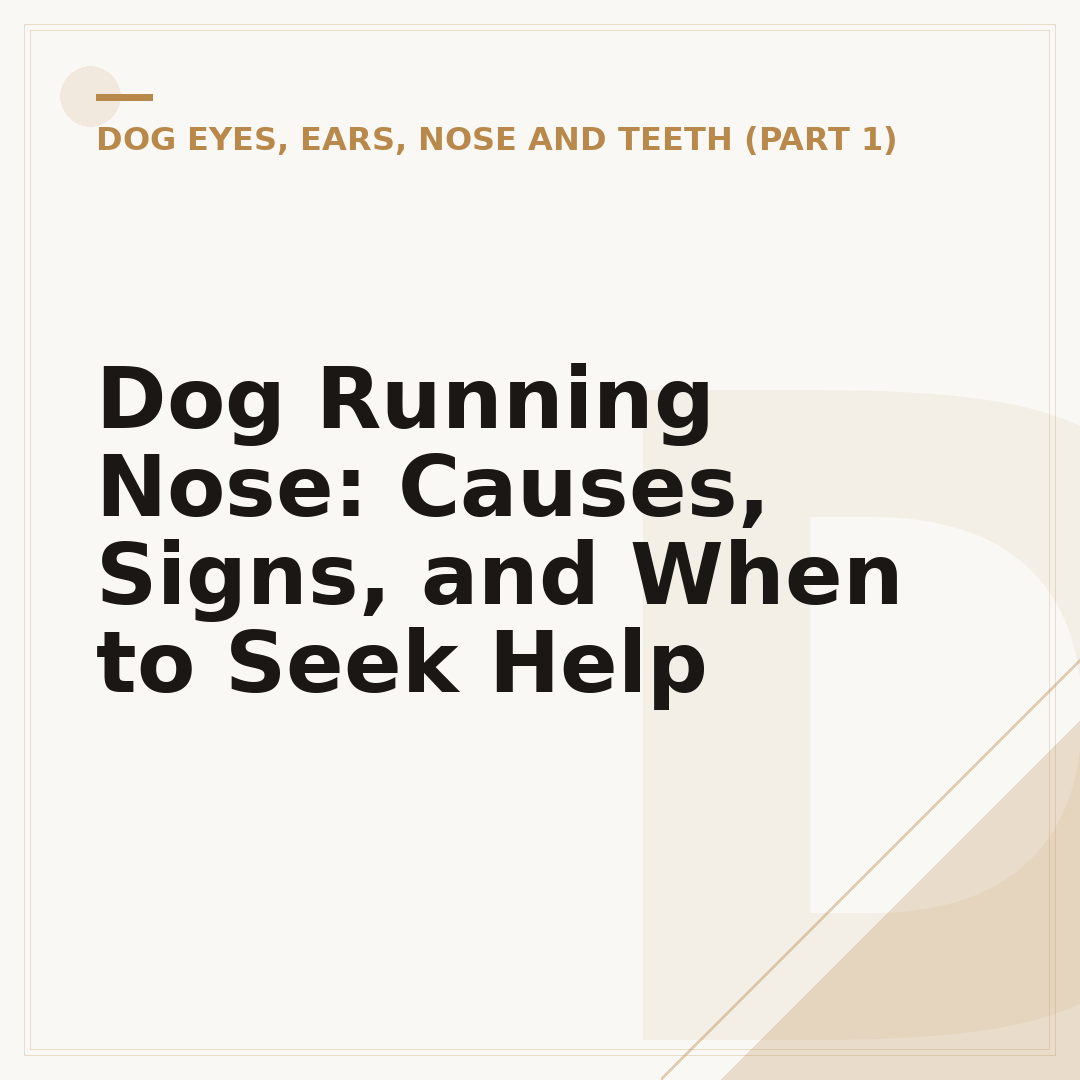 Dog Running Nose: Causes, Signs, and When to Seek Help