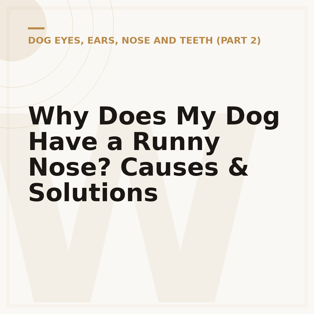 Why Does My Dog Have a Runny Nose? Causes & Solutions