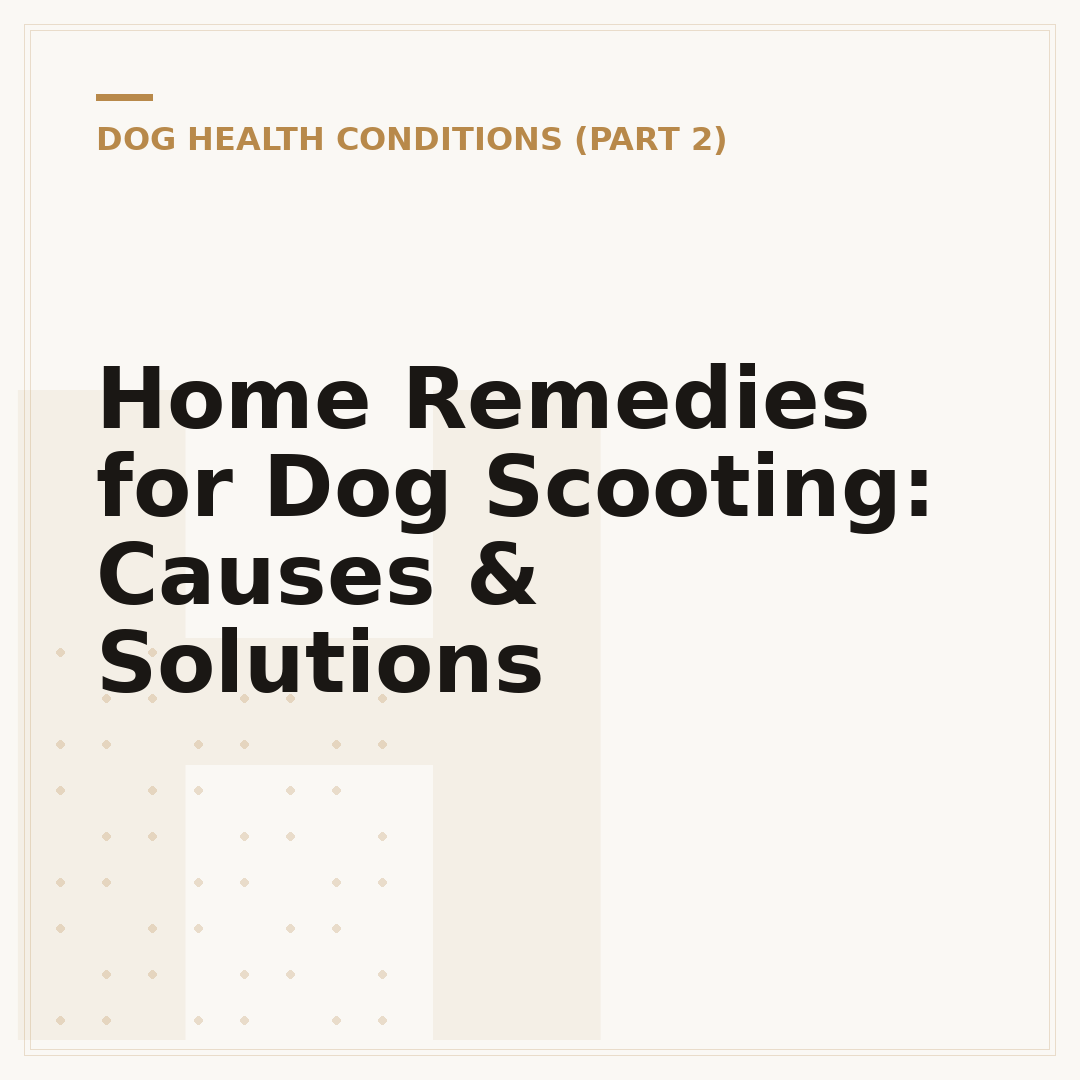 Home Remedies for Dog Scooting: Causes & Solutions