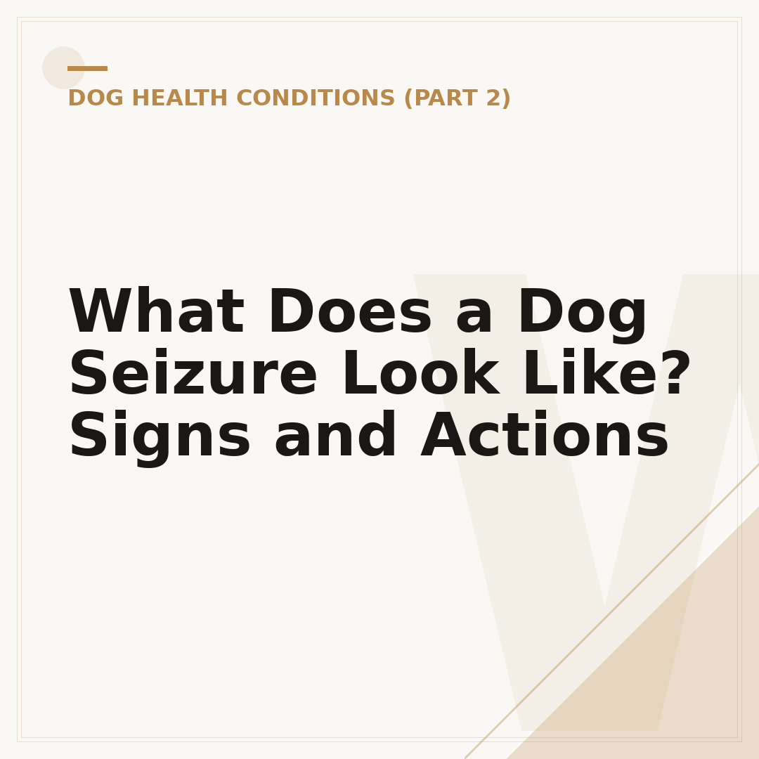 What Does a Dog Seizure Look Like? Signs and Actions