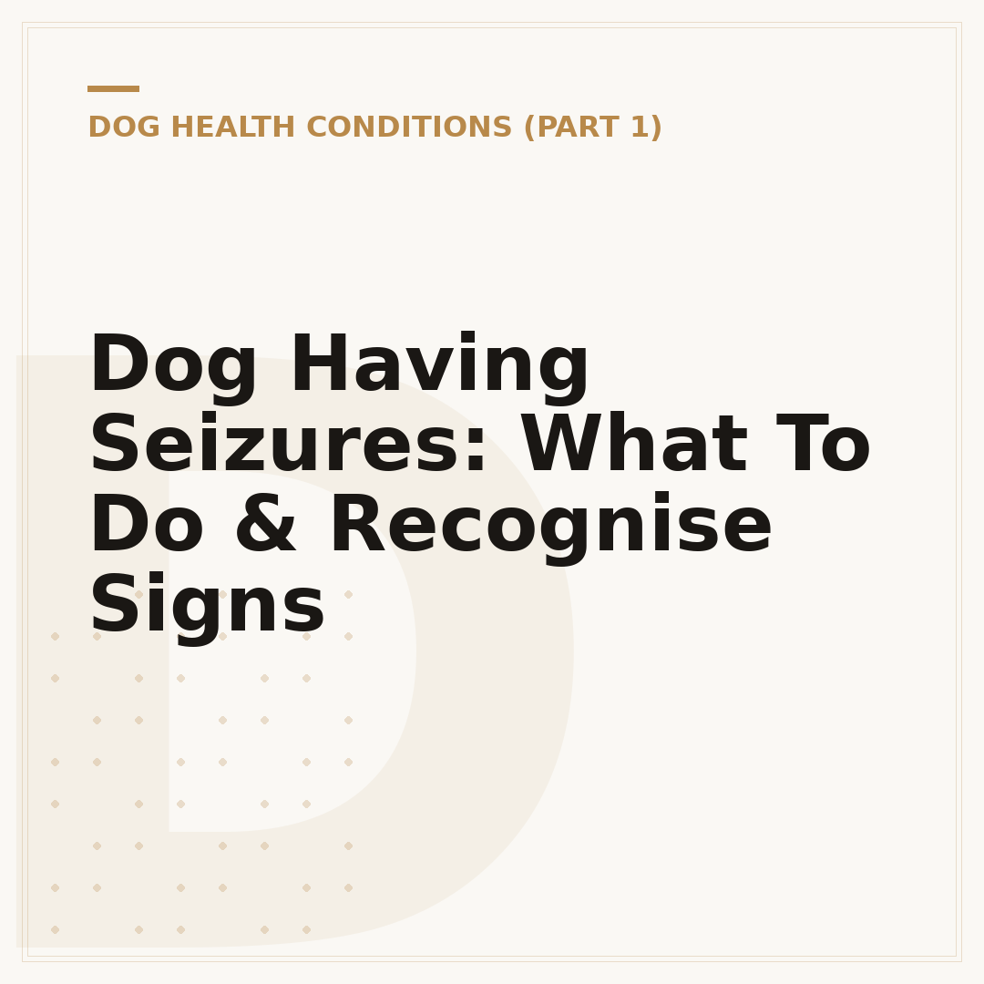 Dog Having Seizures: What To Do & Recognise Signs