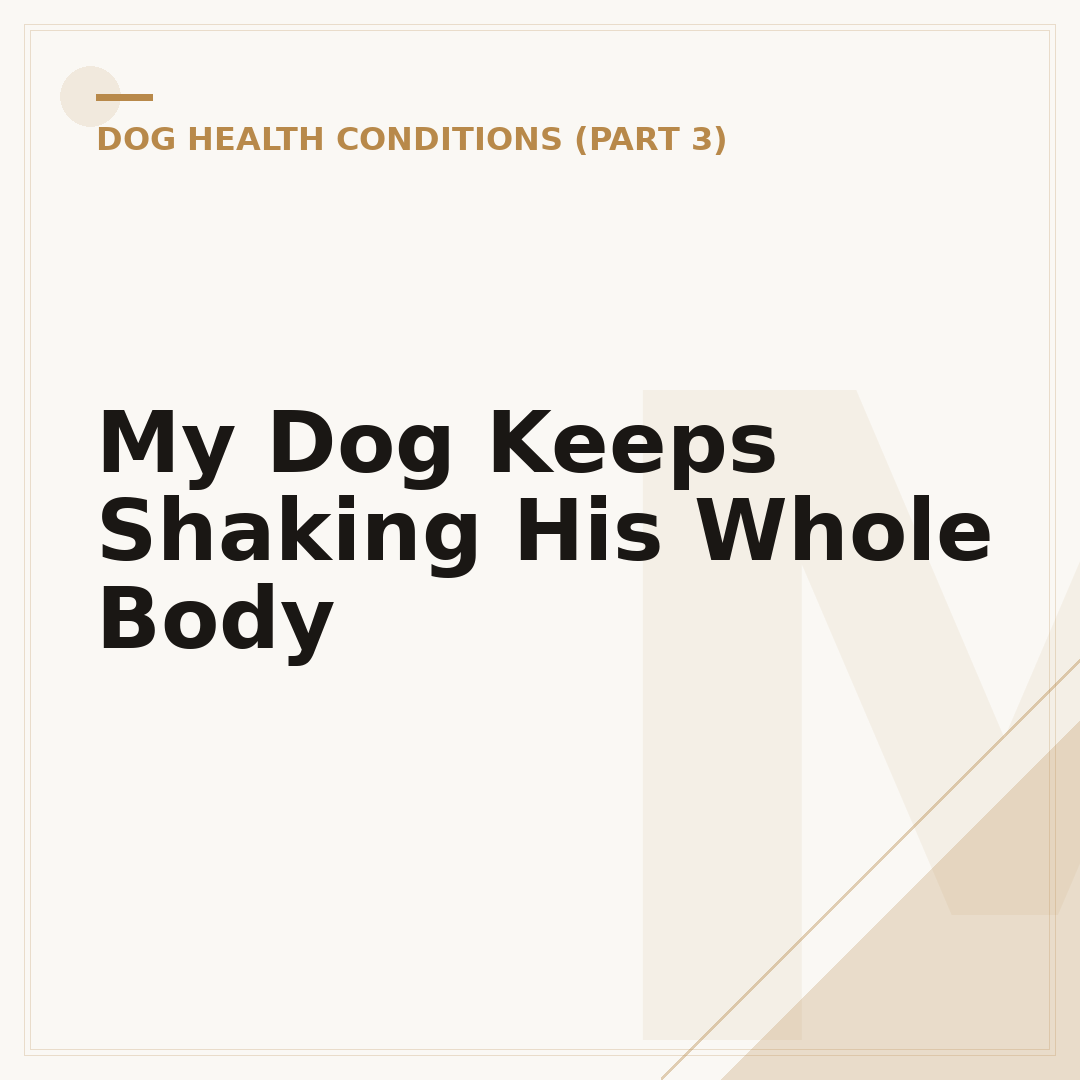 My Dog Keeps Shaking His Whole Body