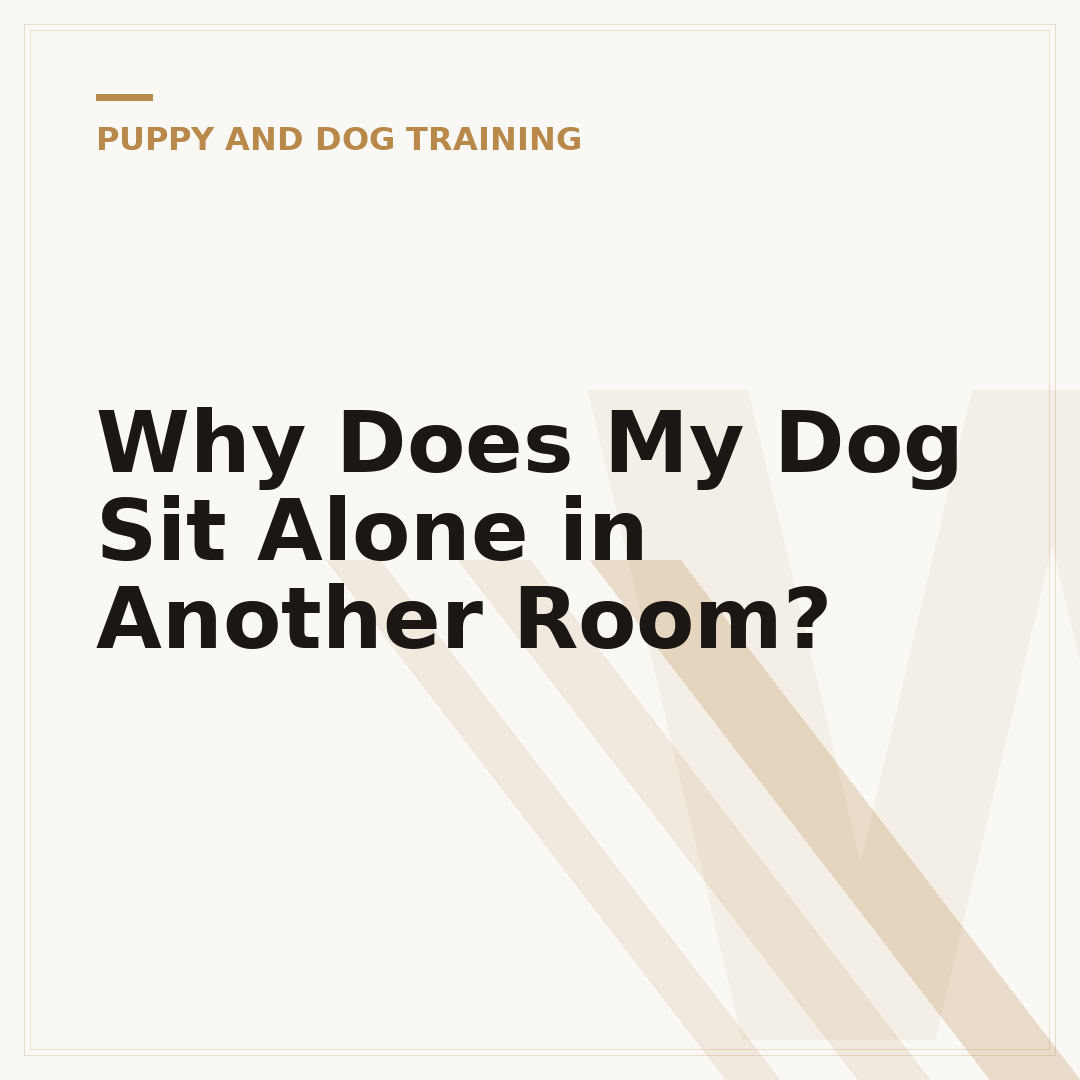 Why Does My Dog Sit Alone in Another Room?