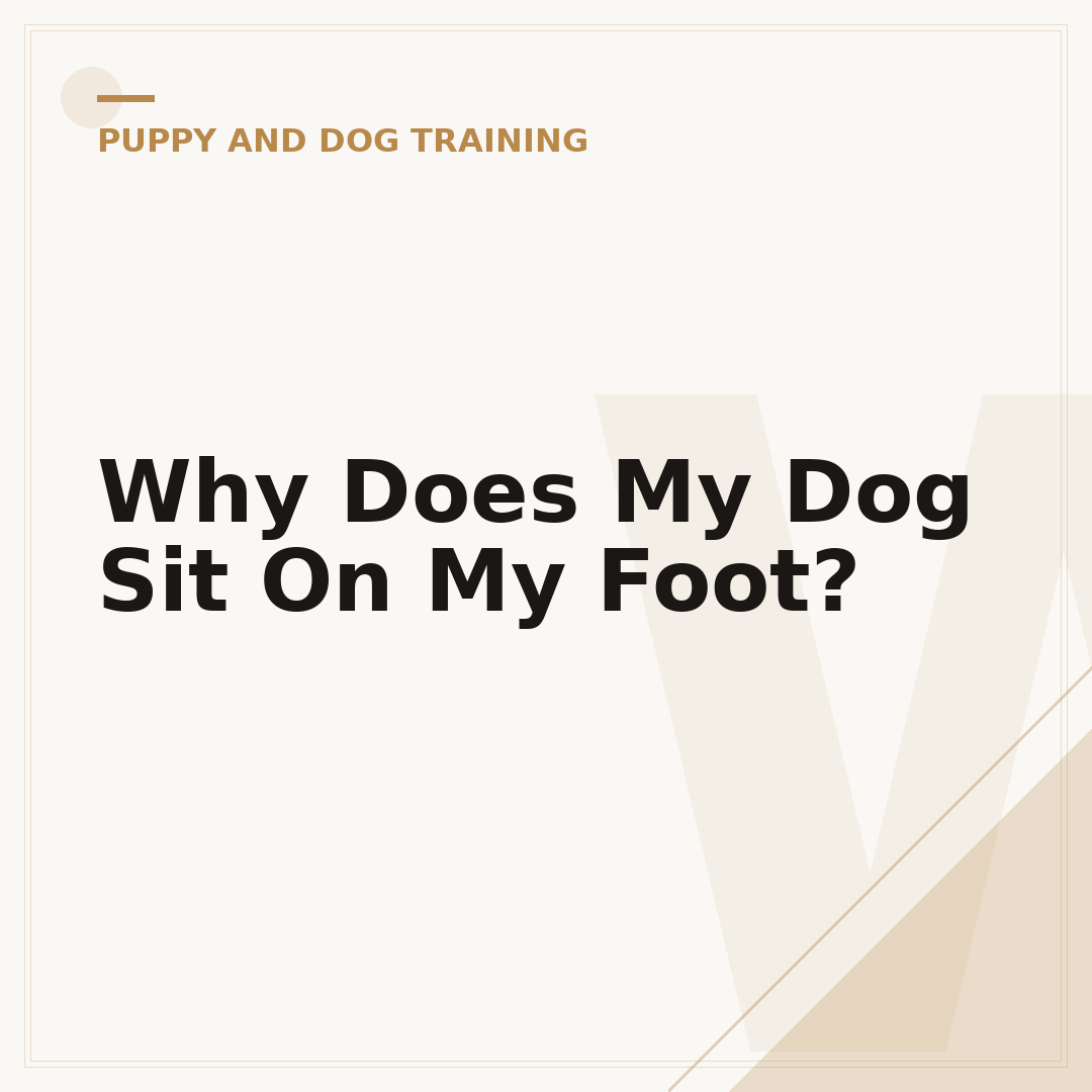 Why Does My Dog Sit On My Foot?