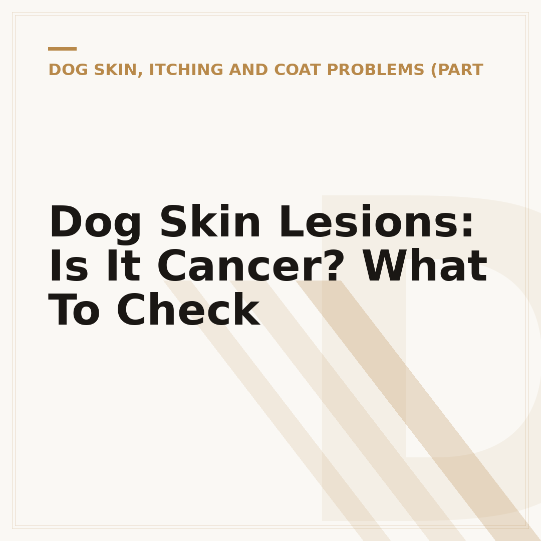 Dog Skin Lesions: Is It Cancer? What To Check