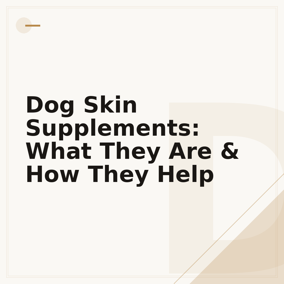 Dog Skin Supplements: What They Are & How They Help