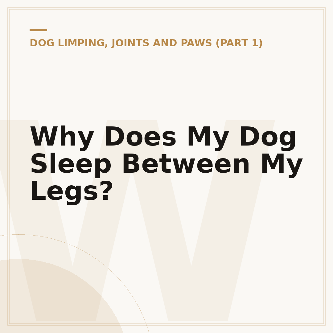 Why Does My Dog Sleep Between My Legs?