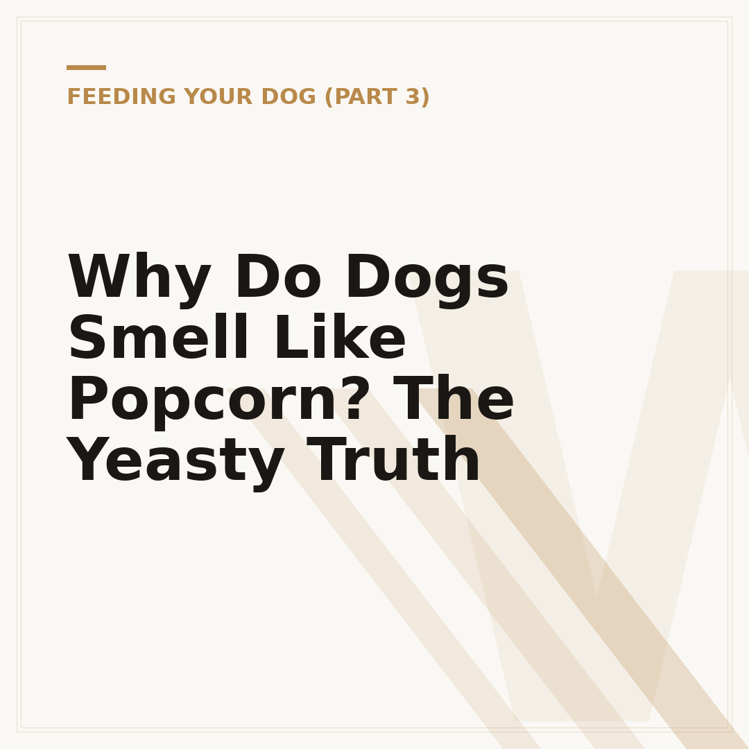 Why Do Dogs Smell Like Popcorn? The Yeasty Truth
