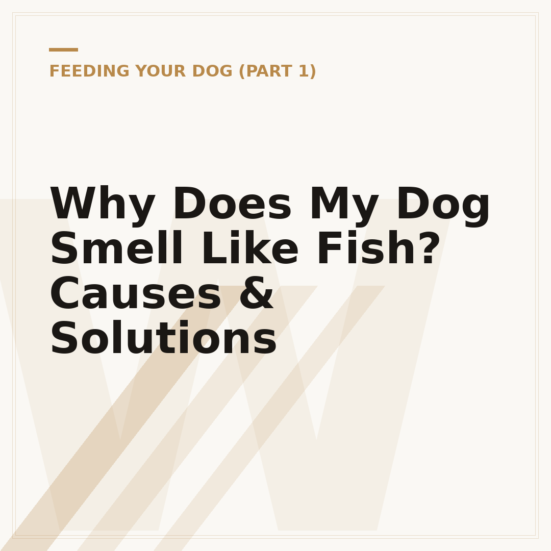 Why Does My Dog Smell Like Fish? Causes & Solutions