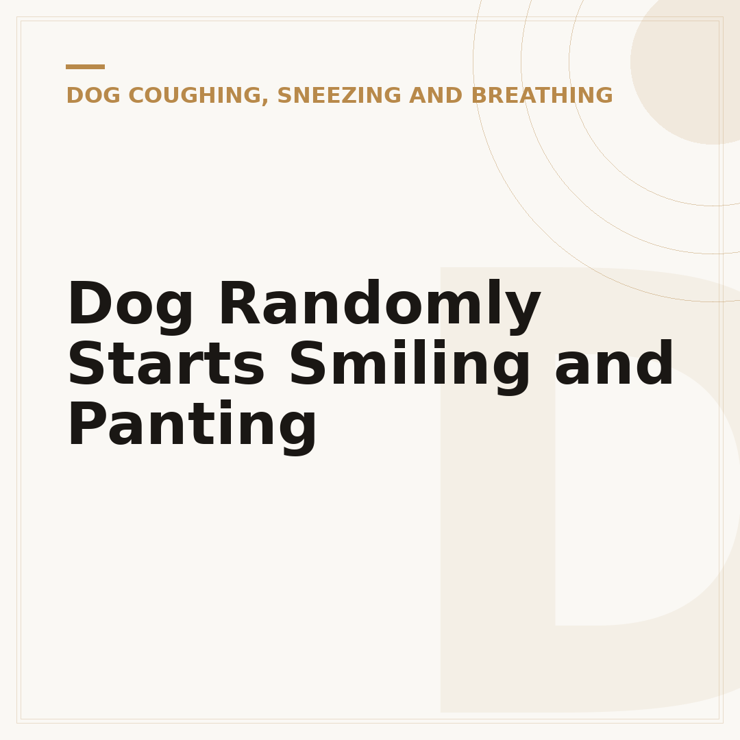 Dog Randomly Starts Smiling and Panting