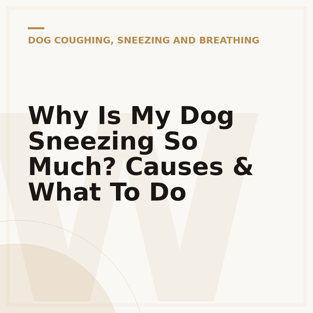 Why Is My Dog Sneezing So Much? Causes & What To Do