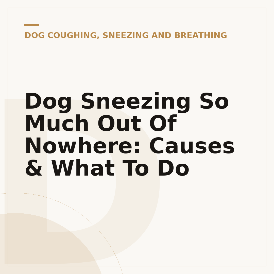Dog Sneezing So Much Out Of Nowhere: Causes & What To Do