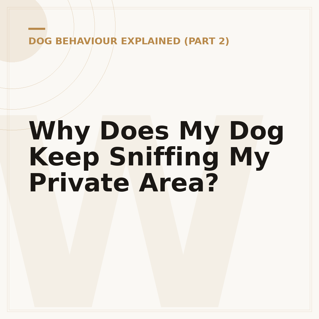 Why Does My Dog Keep Sniffing My Private Area?