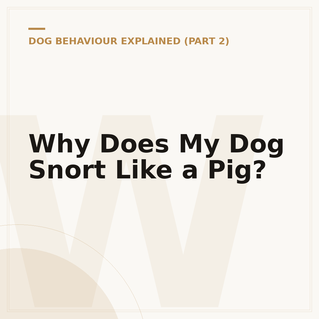 Why Does My Dog Snort Like a Pig?