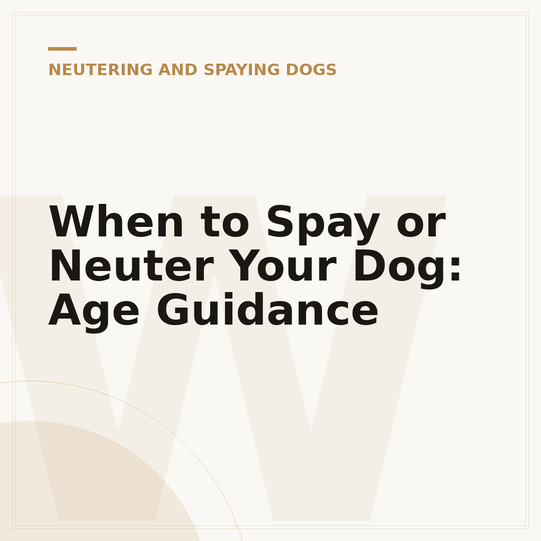 When to Spay or Neuter Your Dog: Age Guidance