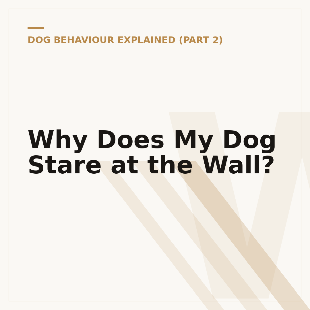 Why Does My Dog Stare at the Wall?
