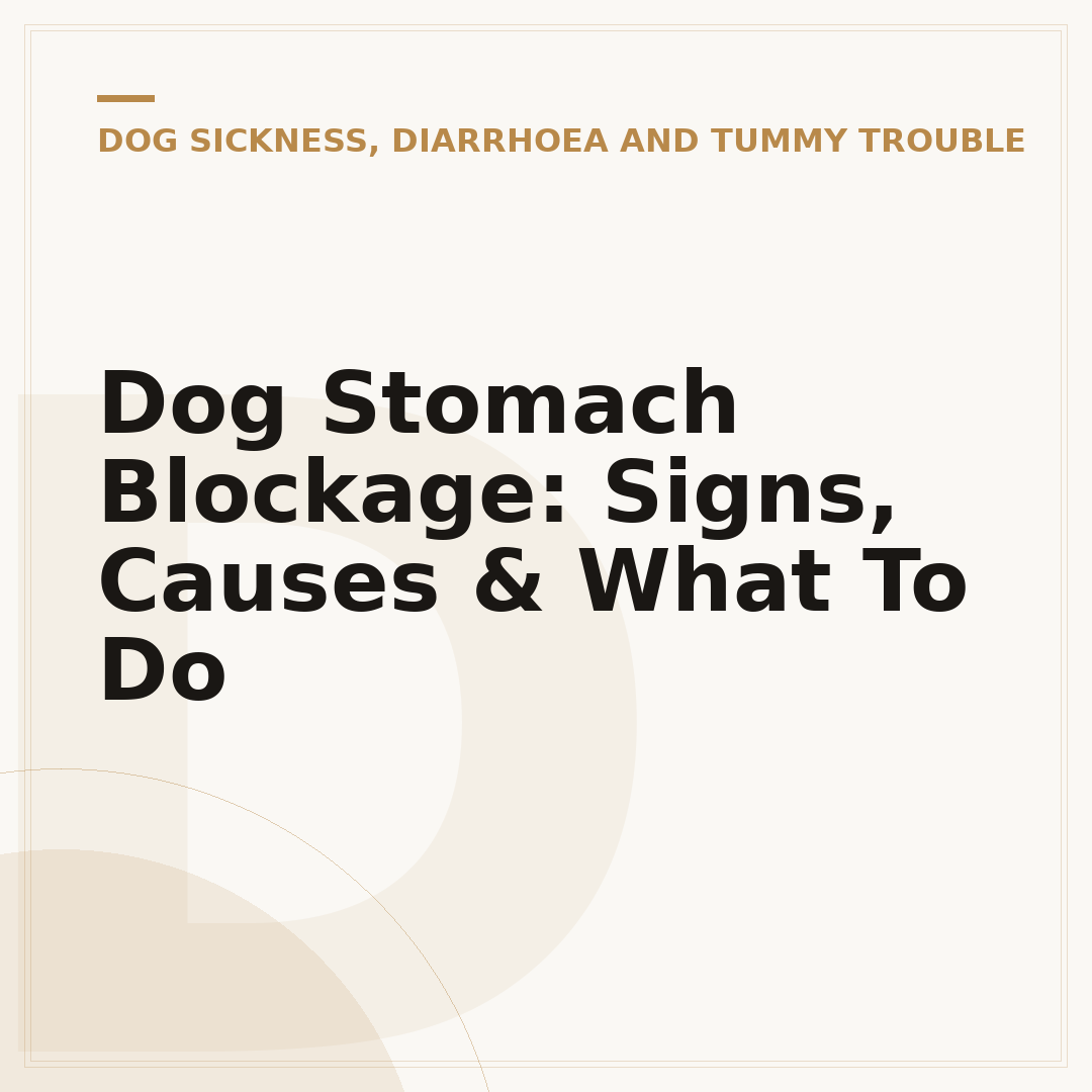 Dog Stomach Blockage: Signs, Causes & What To Do