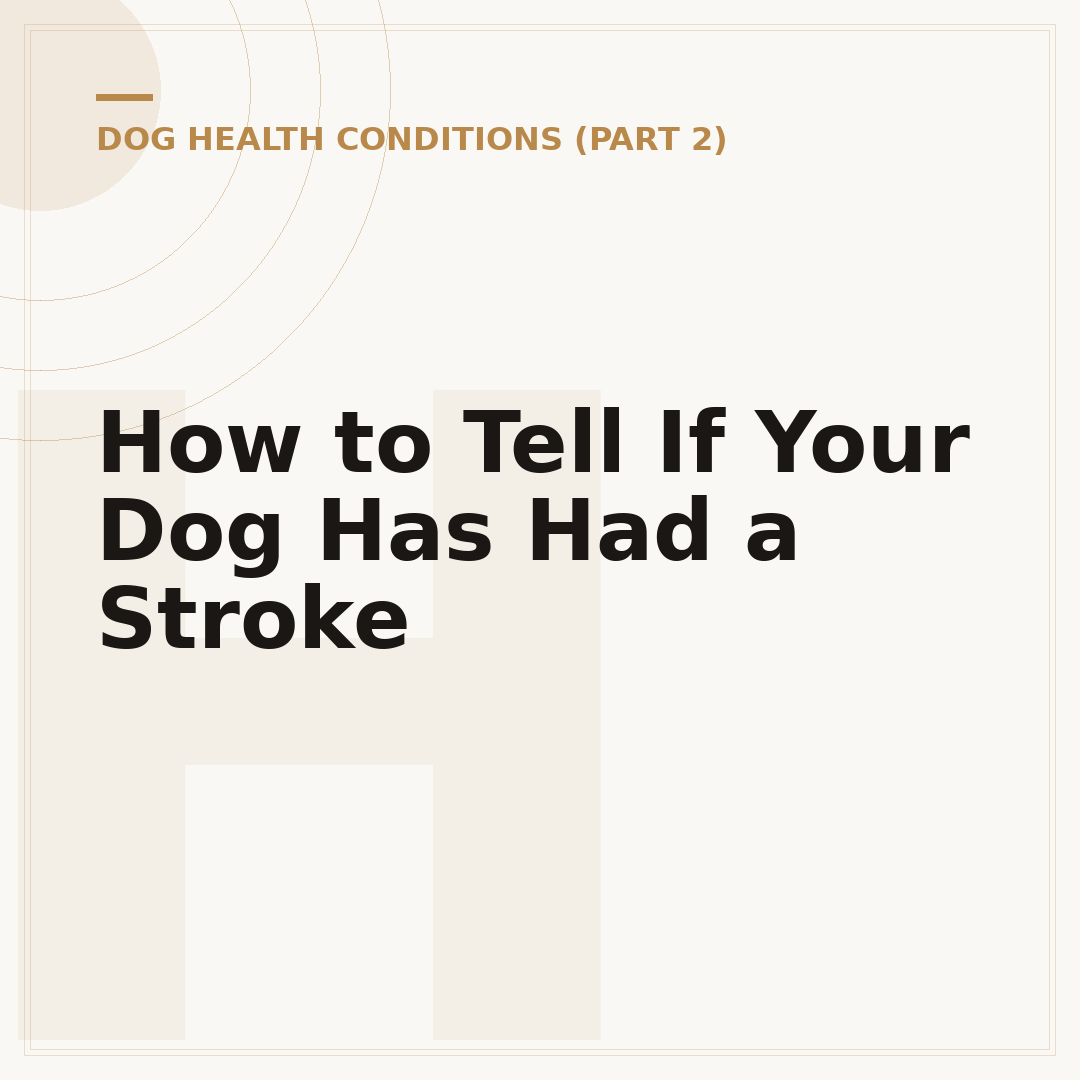 How to Tell If Your Dog Has Had a Stroke