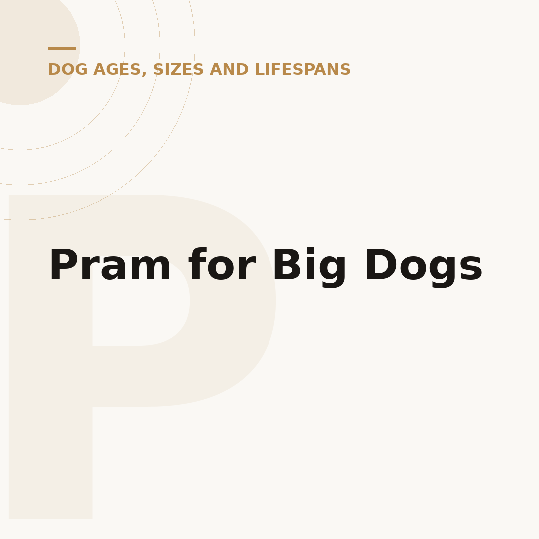 Pram for Big Dogs