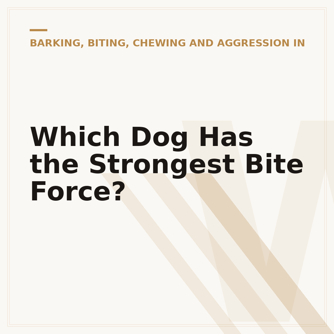 Which Dog Has the Strongest Bite Force?