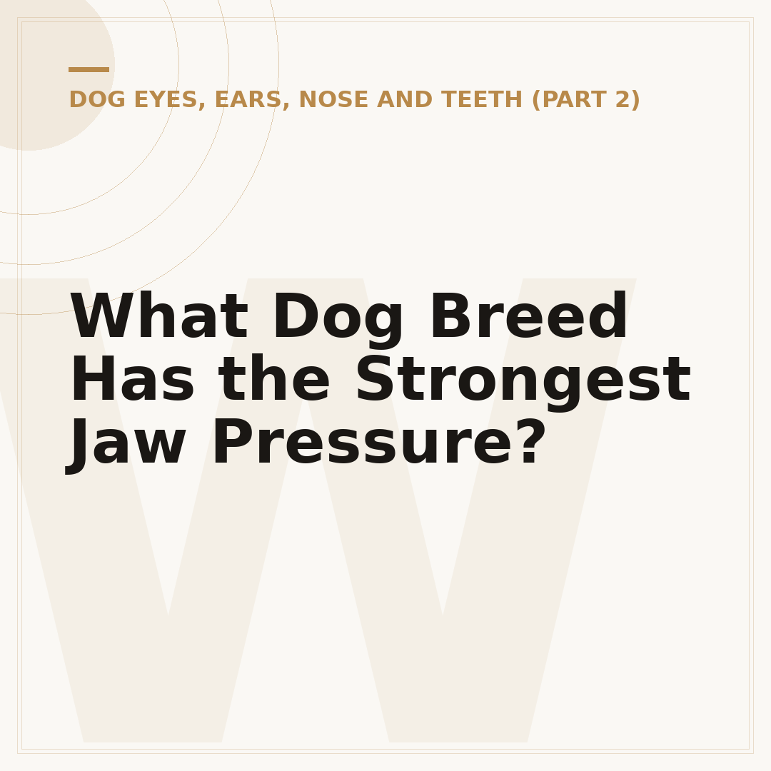 What Dog Breed Has the Strongest Jaw Pressure?