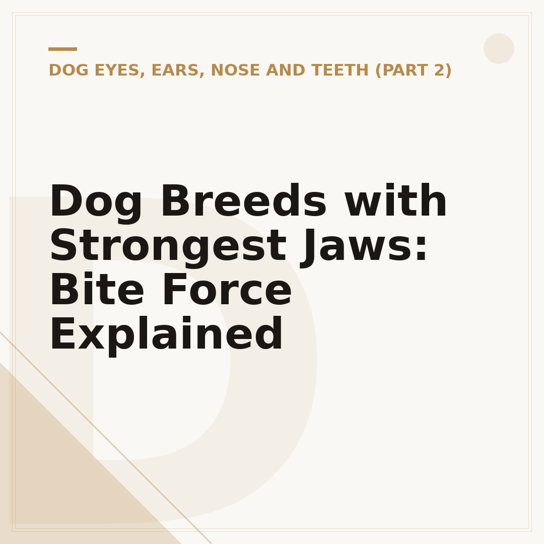 Dog Breeds with Strongest Jaws: Bite Force Explained