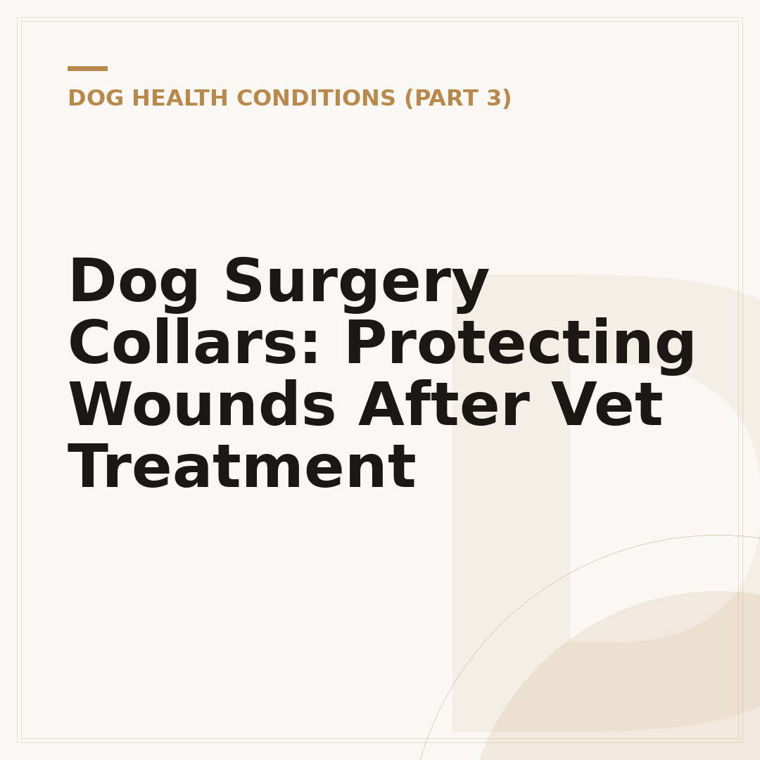 Dog Surgery Collars: Protecting Wounds After Vet Treatment