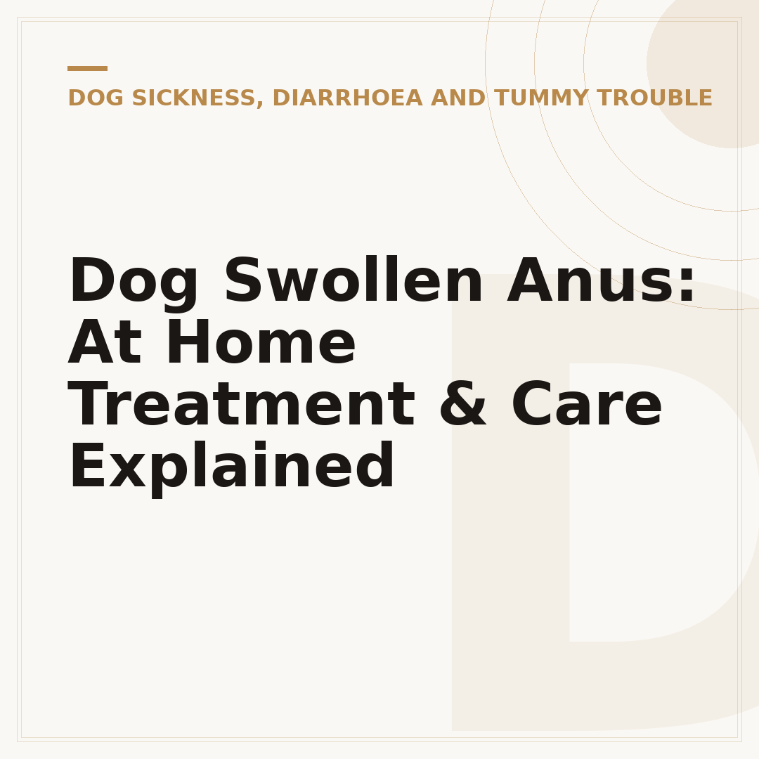 Dog Swollen Anus: At Home Treatment & Care Explained