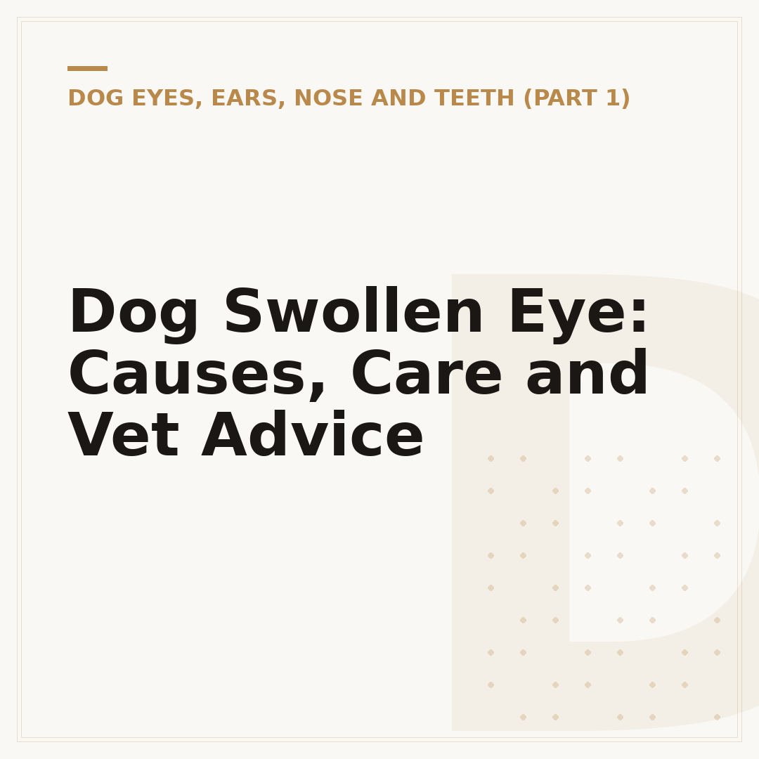 Dog Swollen Eye: Causes, Care and Vet Advice