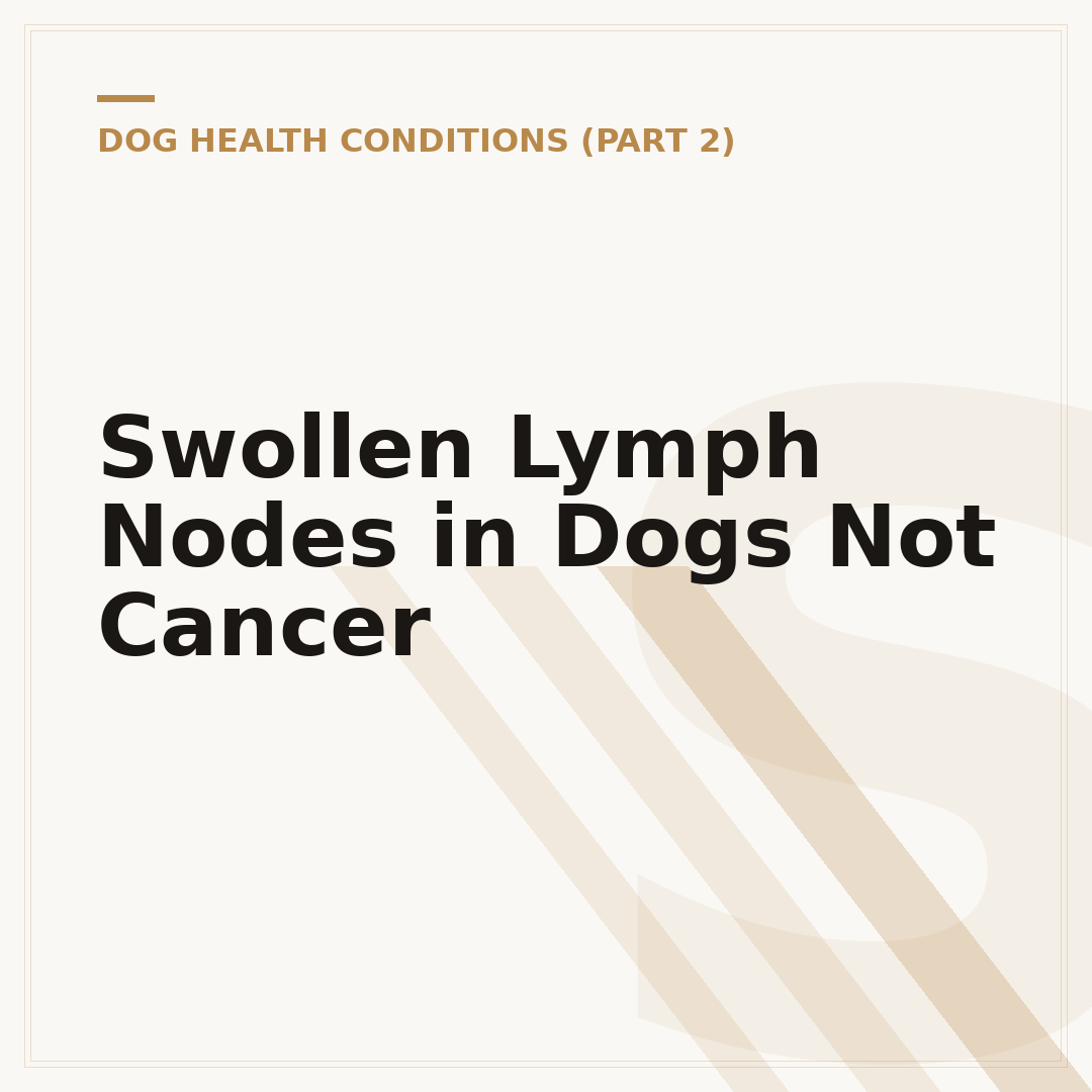 Swollen Lymph Nodes in Dogs Not Cancer