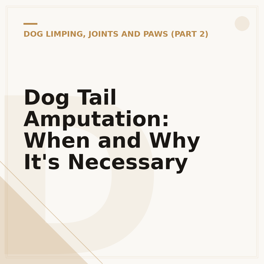 Dog Tail Amputation: When and Why It's Necessary