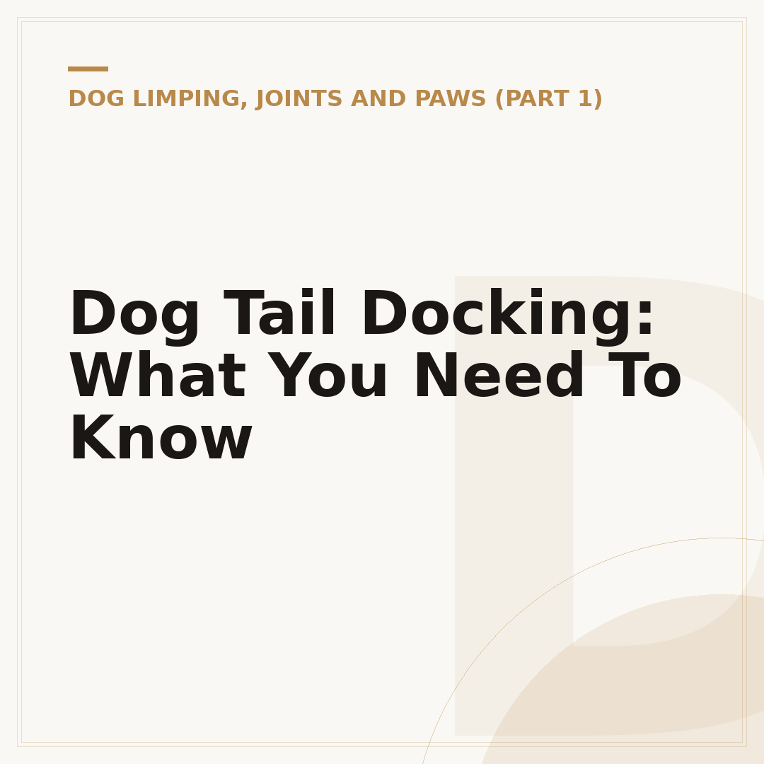 Dog Tail Docking: What You Need To Know