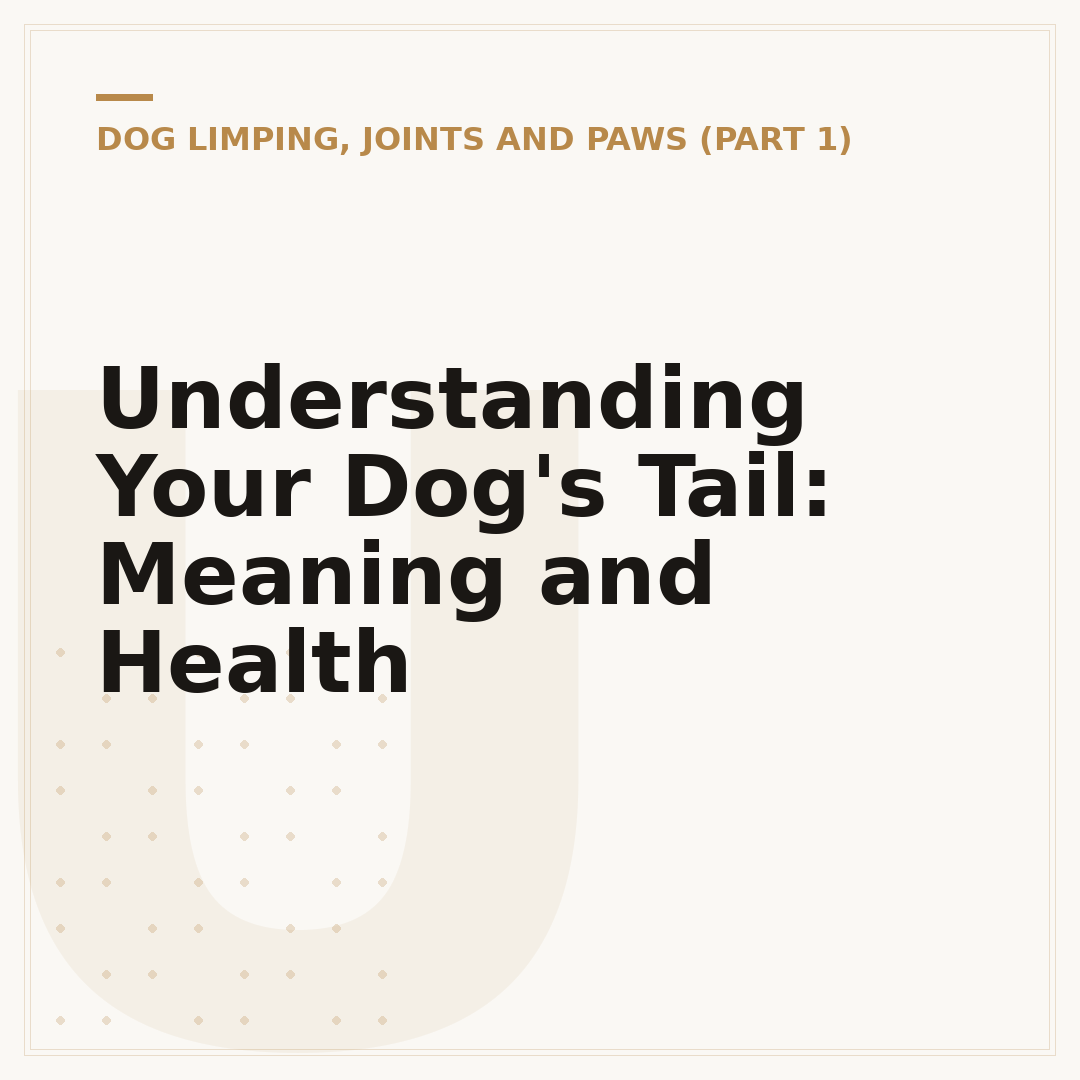 Understanding Your Dog's Tail: Meaning and Health