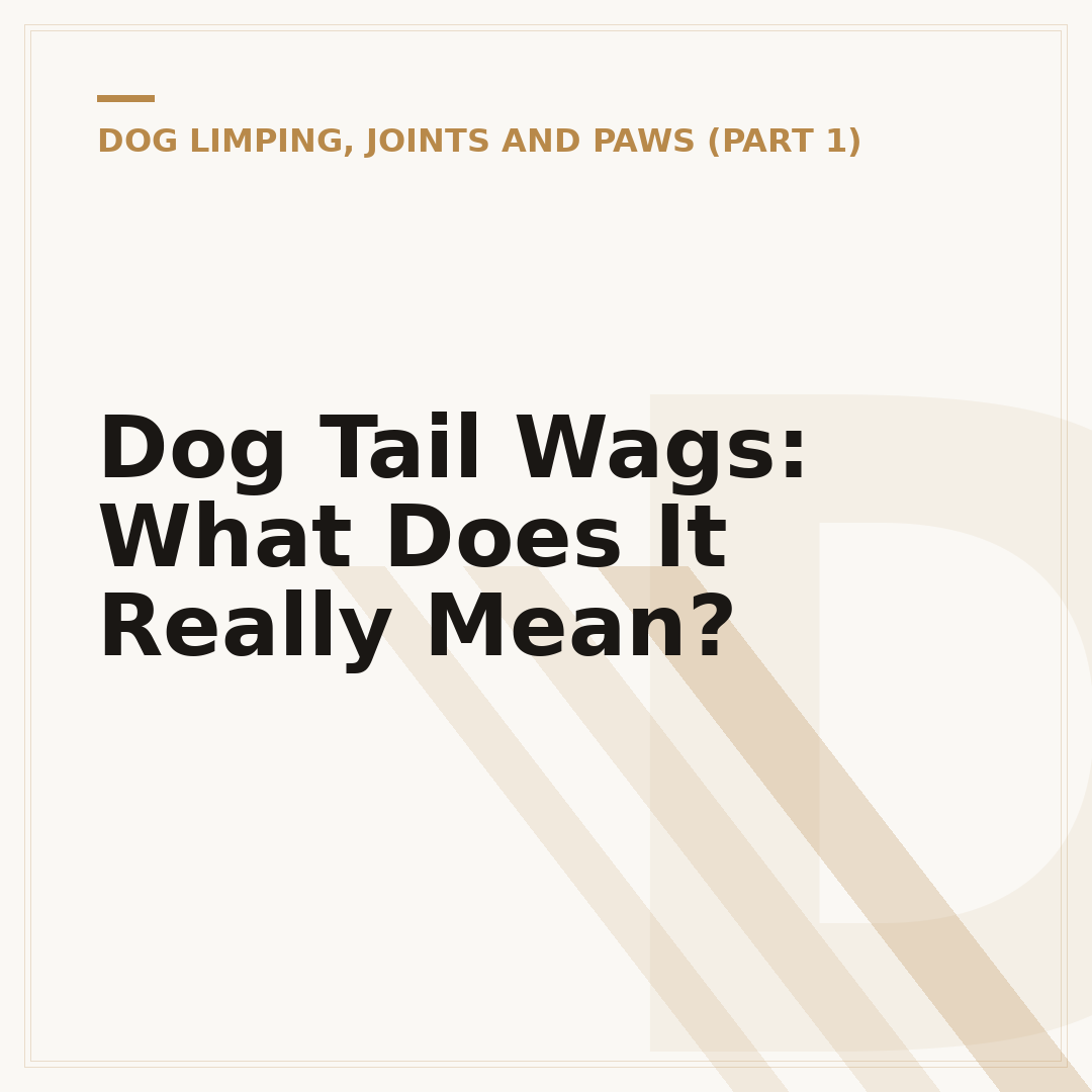 Dog Tail Wags: What Does It Really Mean?