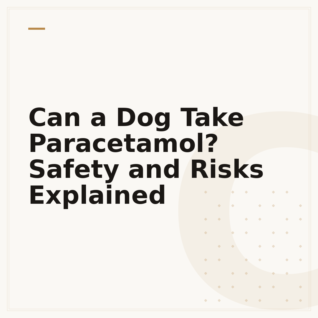 Can a Dog Take Paracetamol? Safety and Risks Explained