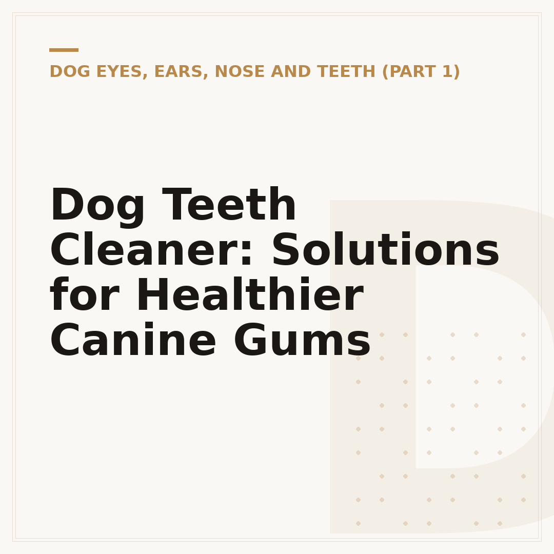 Dog Teeth Cleaner: Solutions for Healthier Canine Gums