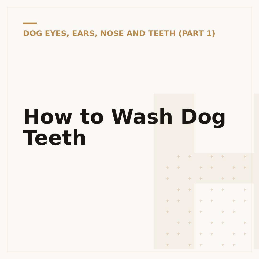 How to Wash Dog Teeth